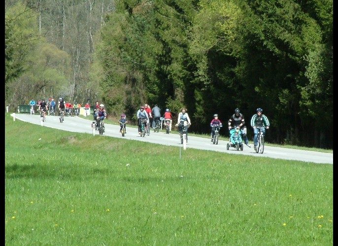 Bildergalerie 2008